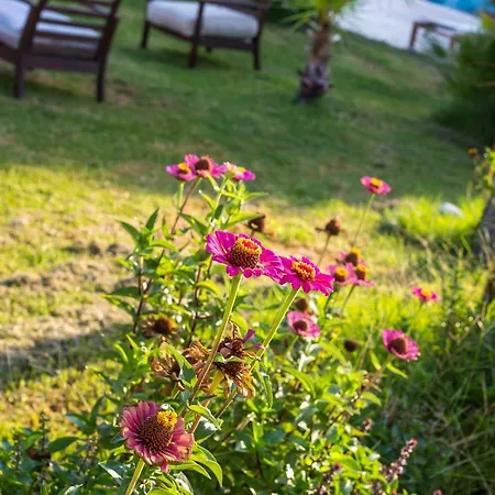 Evita Aparthotel Faliraki